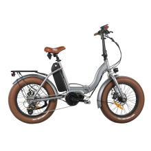 48V 350W Fat Tire Folding Electric Bike with 60mm Alloy Single Wall